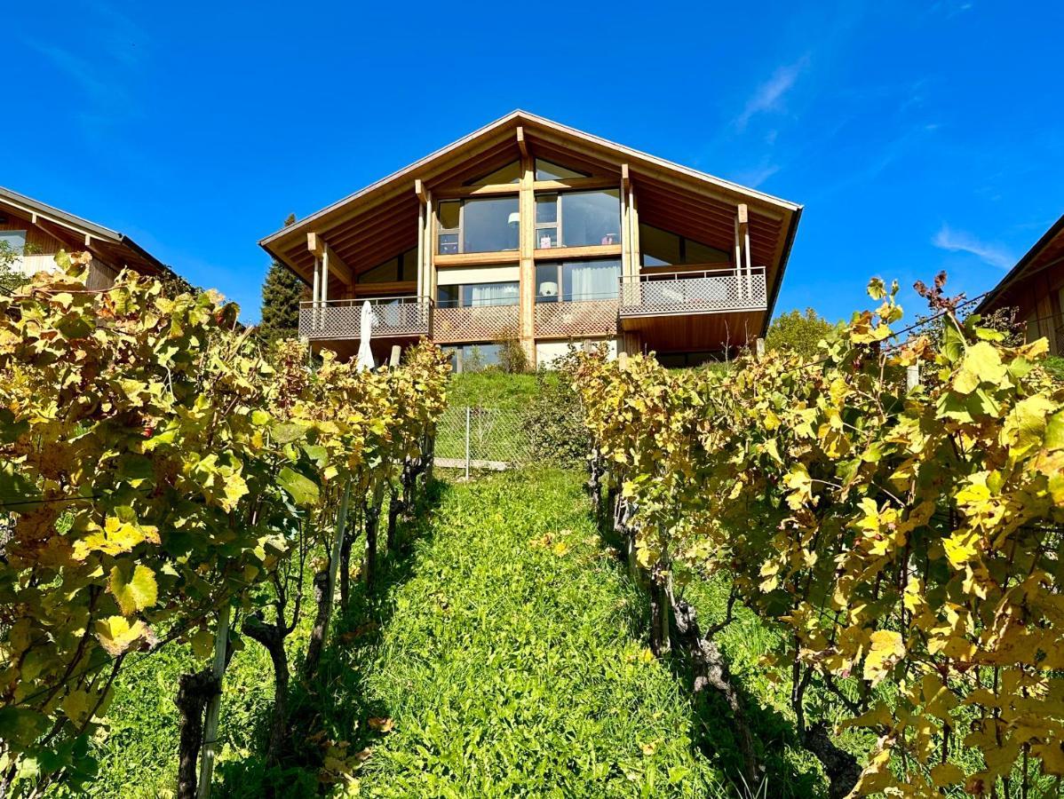 Seaside-Lodge, Top Apartment Spiez Exterior photo